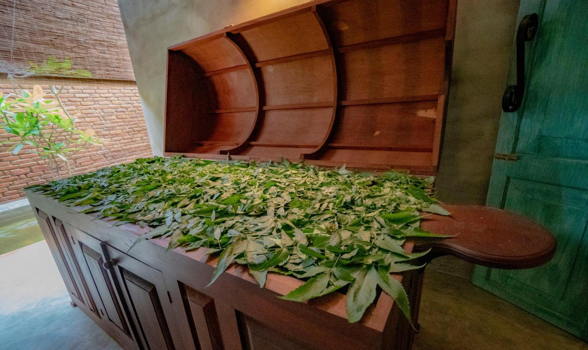 Ayur Ayur Resort&Ayurveda Retreat Negombo Dış mekan fotoğraf