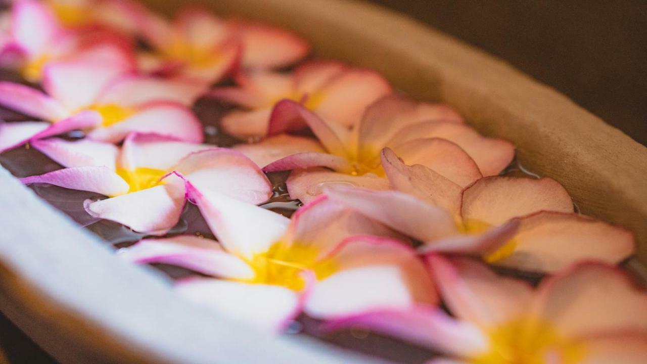Ayur Ayur Resort&Ayurveda Retreat Negombo Dış mekan fotoğraf